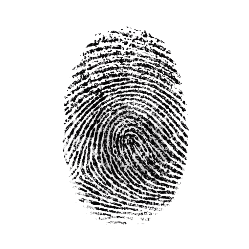 Fingerprint